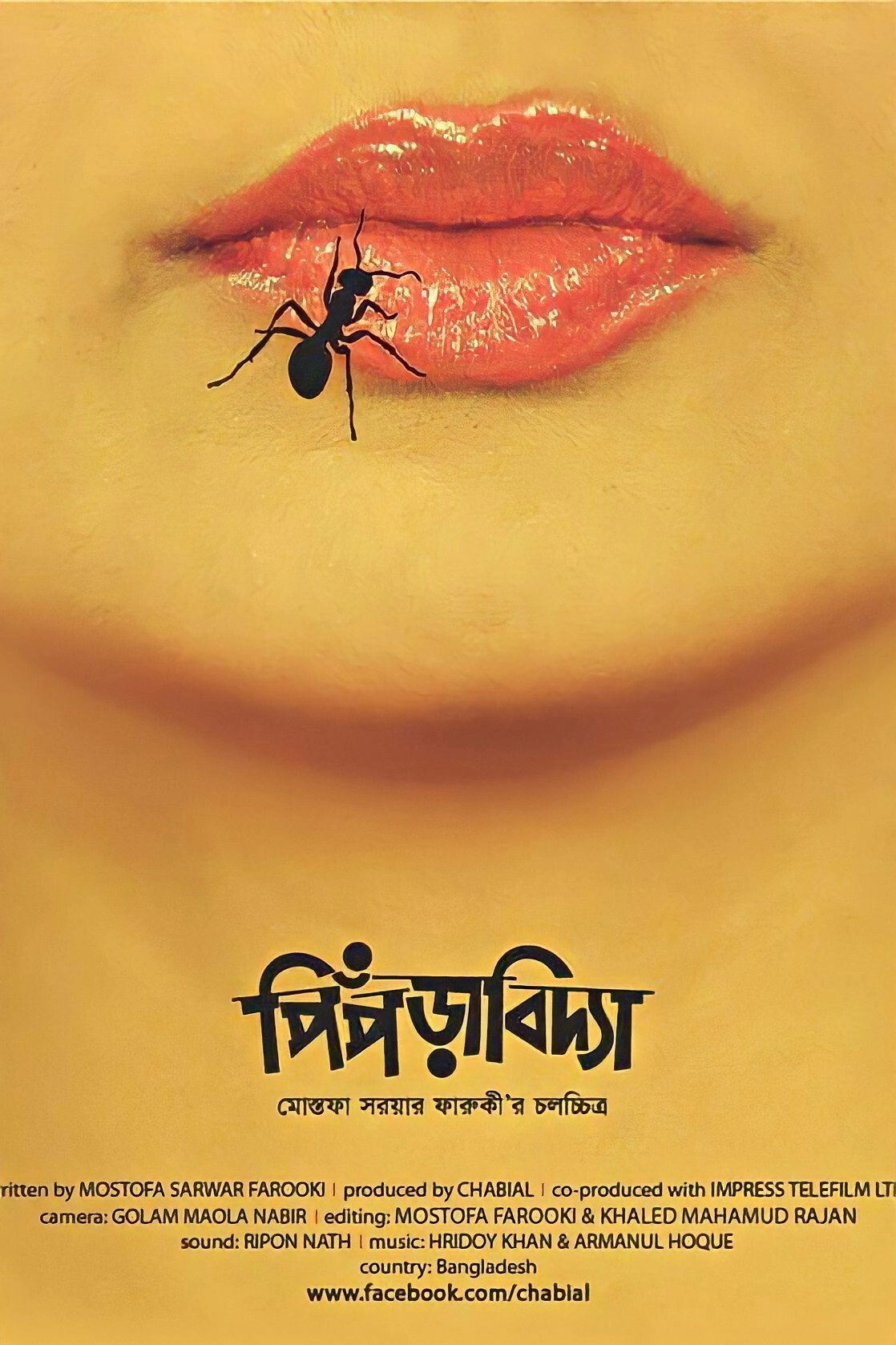 Ant Story