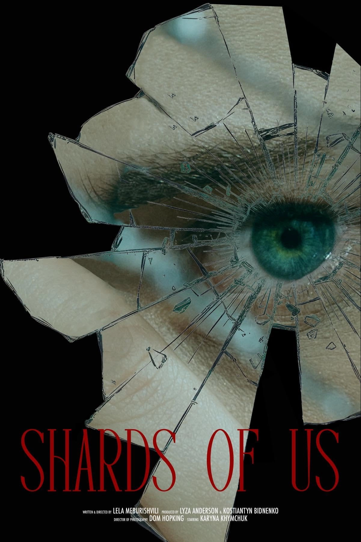 Shards of Us