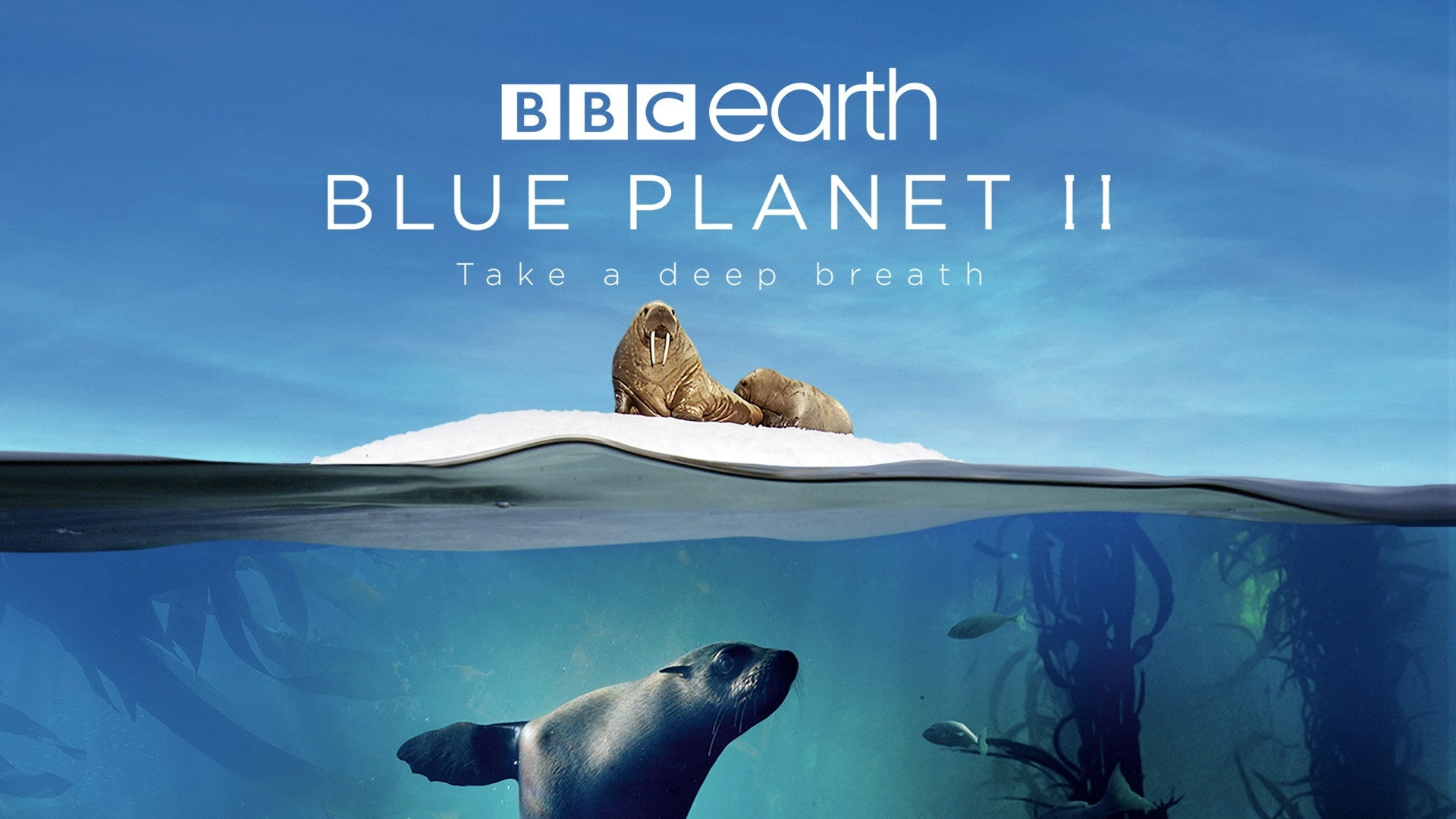 Blue Planet II