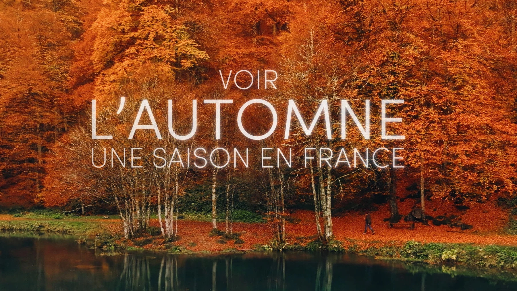 Voir l'automne, une saison en France