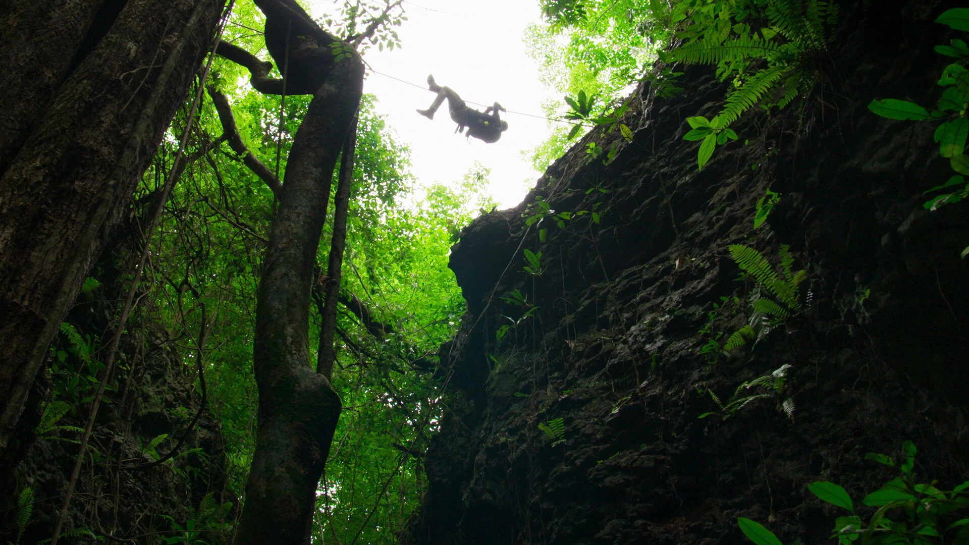 You vs. Wild