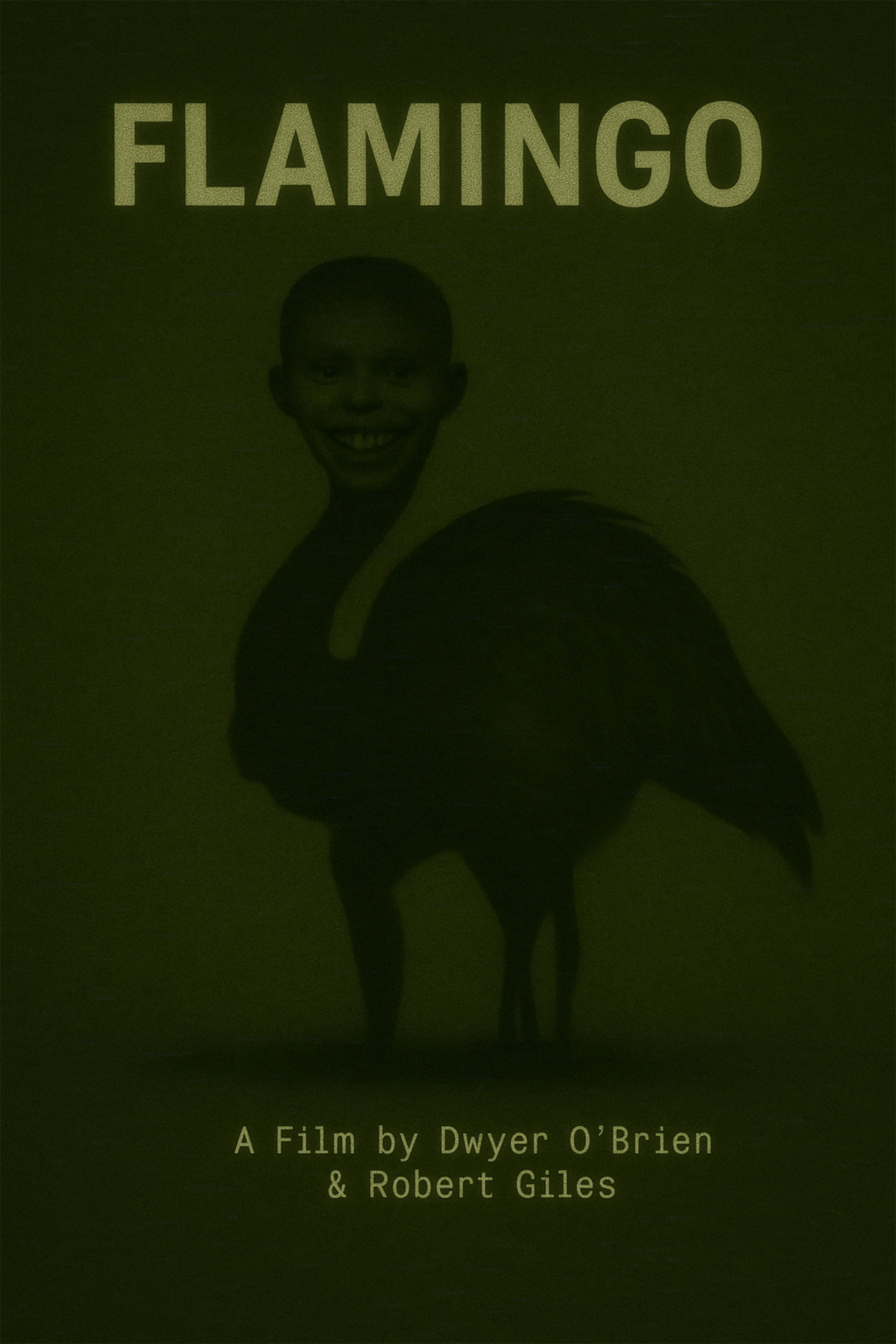 Flamingo