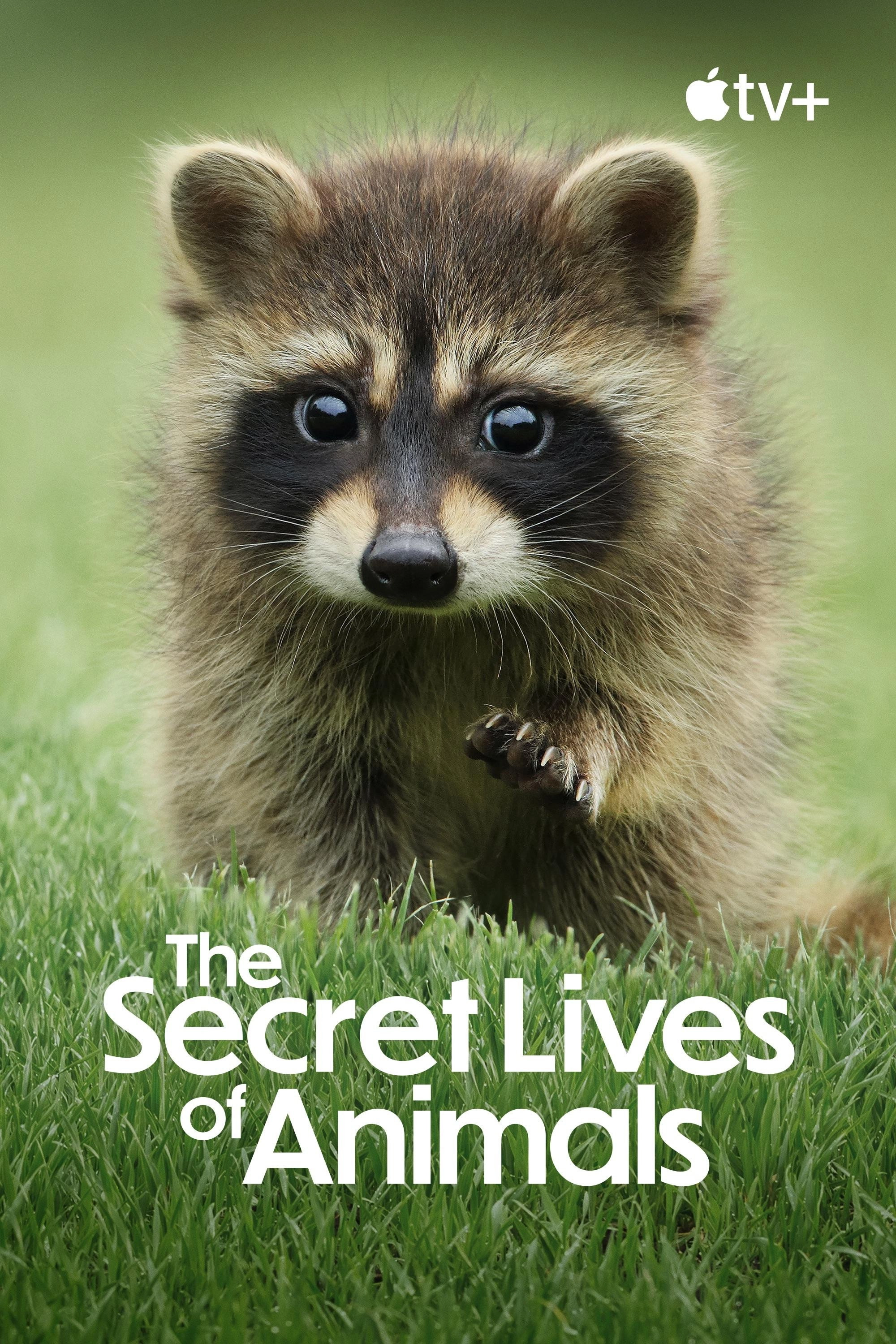 The Secret Lives of Animals