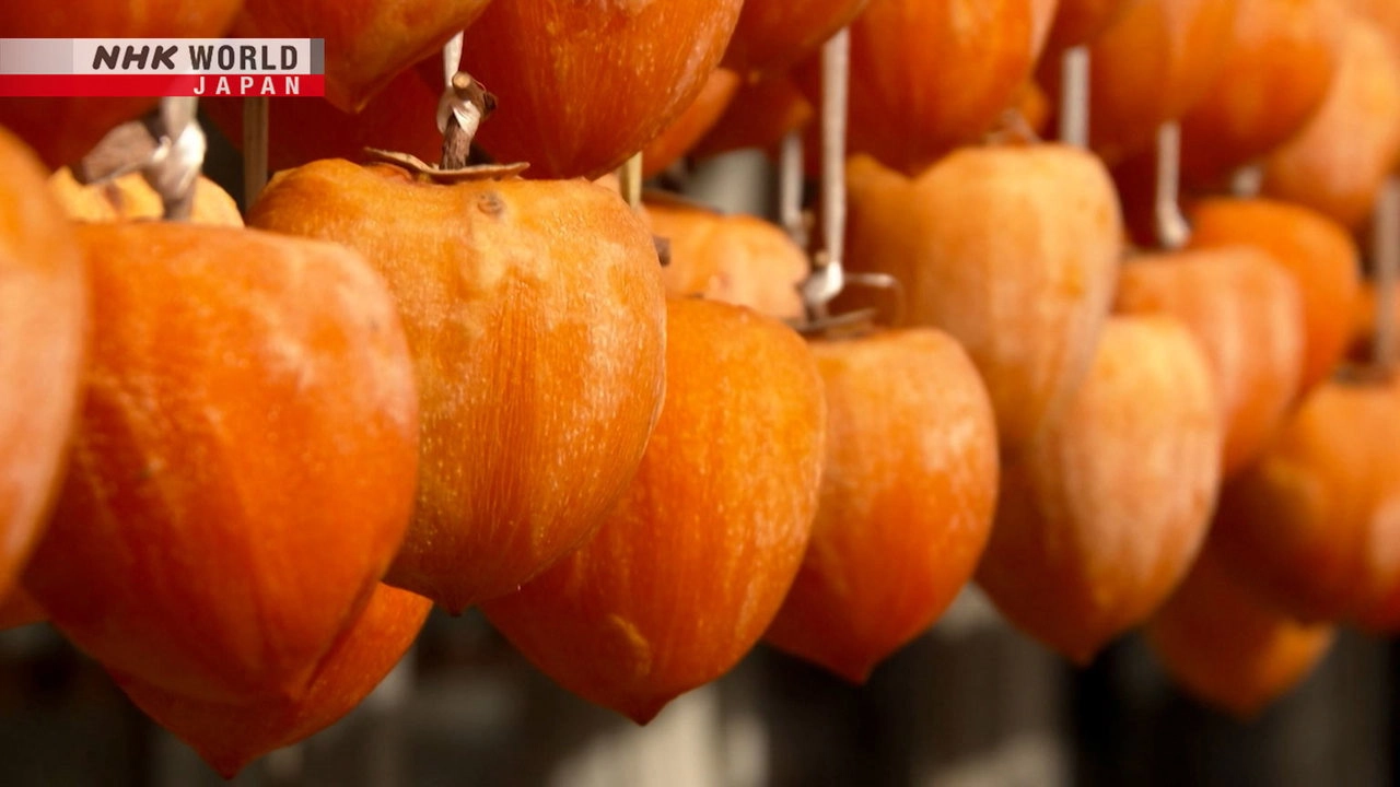 Seasoning the Seasons