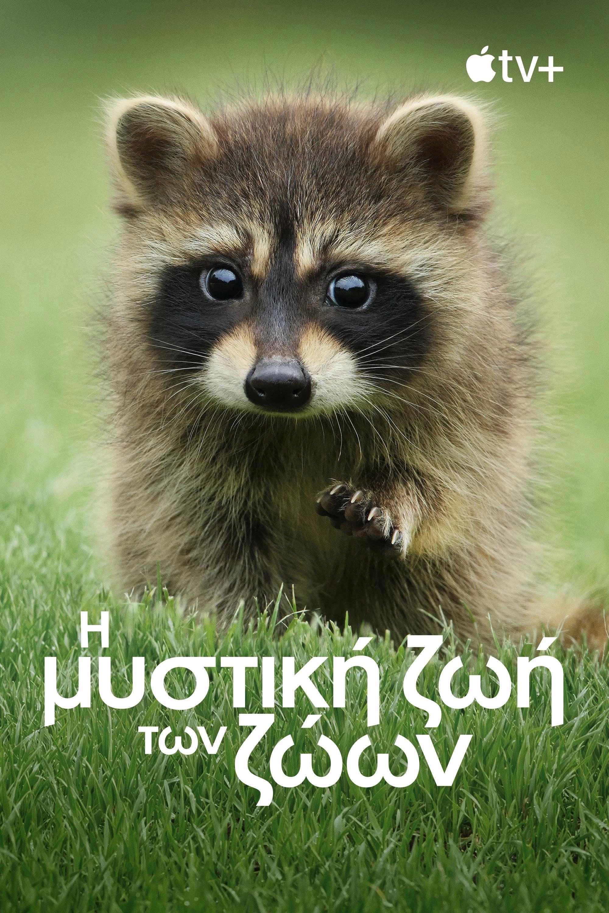 The Secret Lives of Animals
