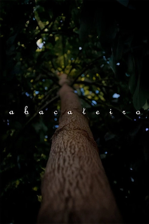 Abacateiro