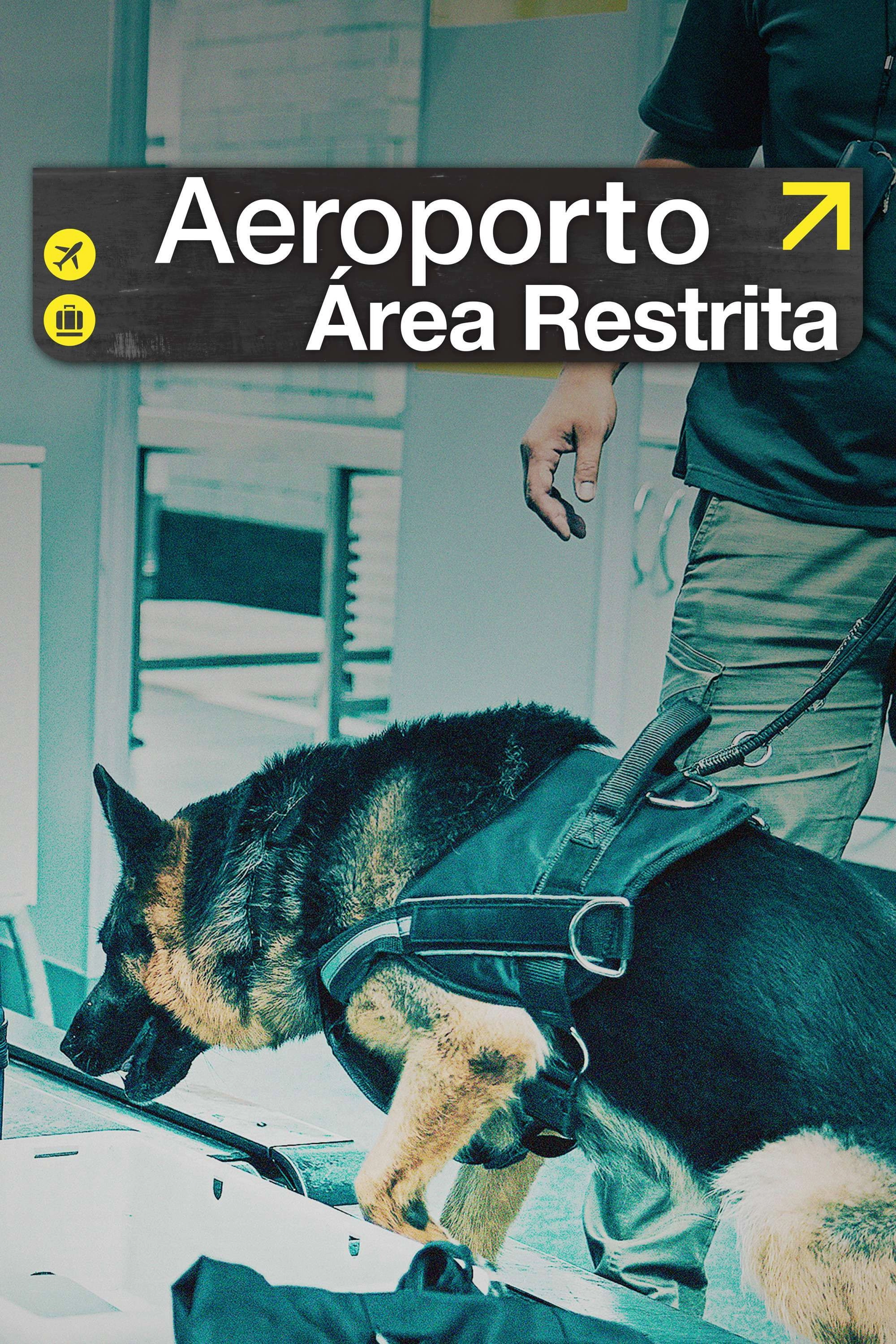 Airport Brazil: Restricted Areas