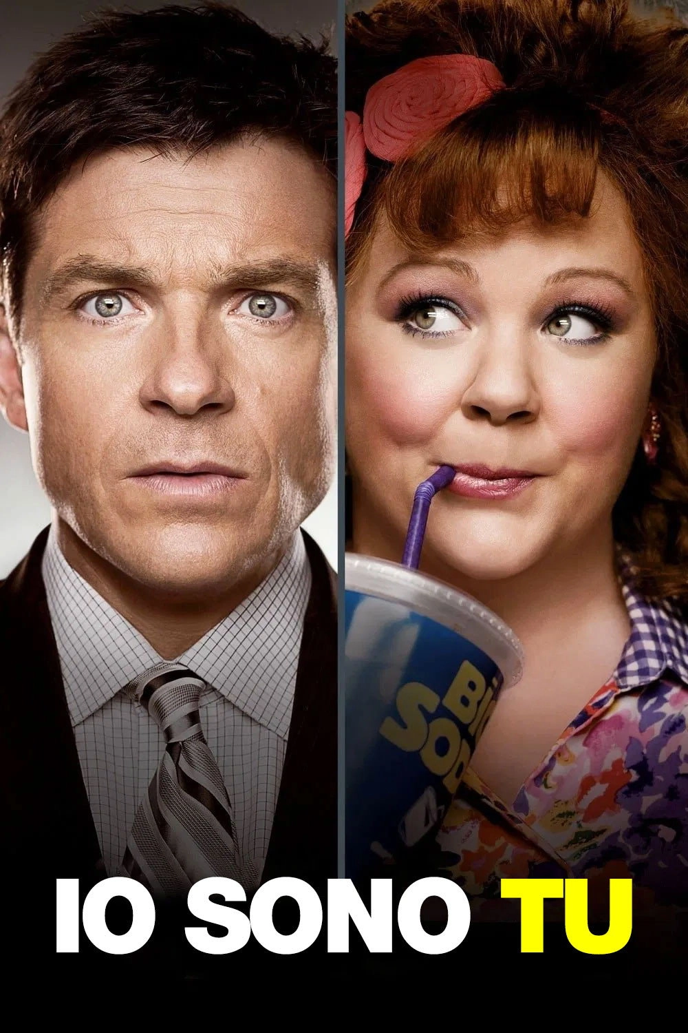 Identity Thief