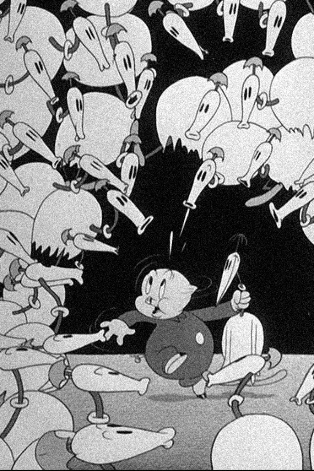 Porky in Wackyland