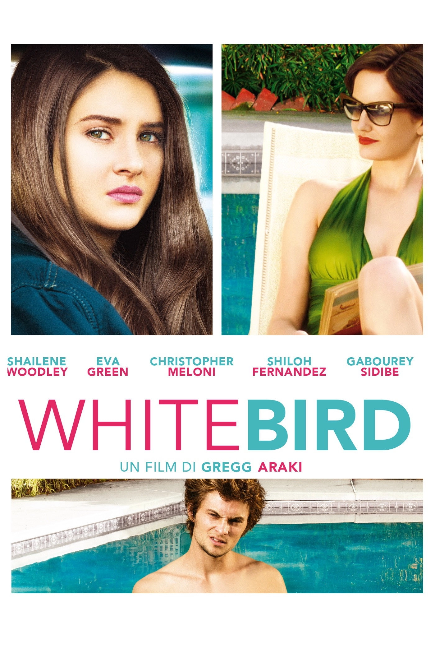 White Bird in a Blizzard