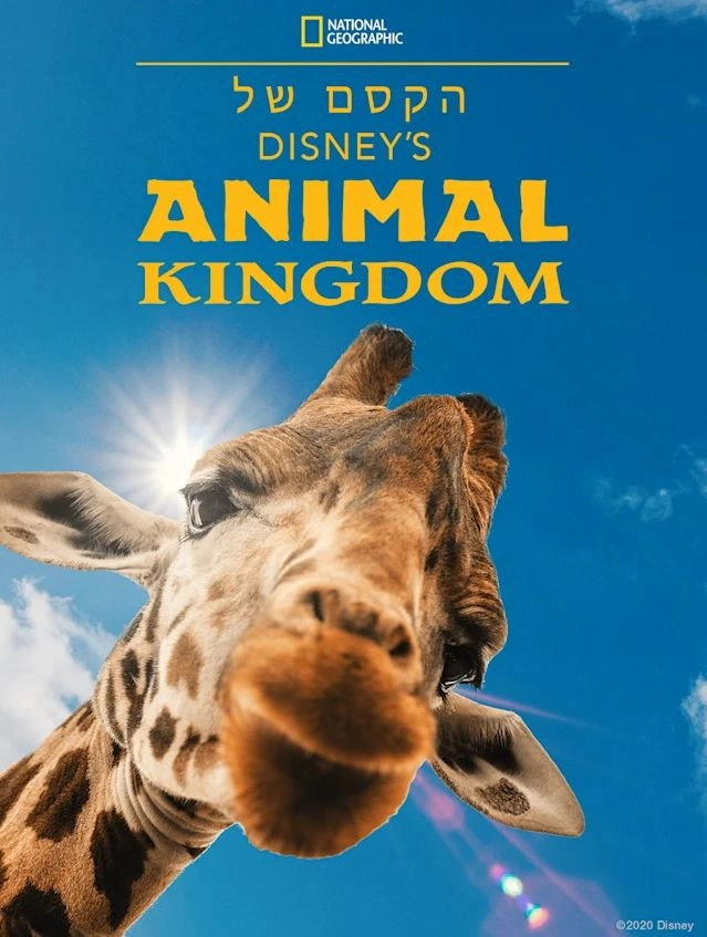 Magic of Disney's Animal Kingdom