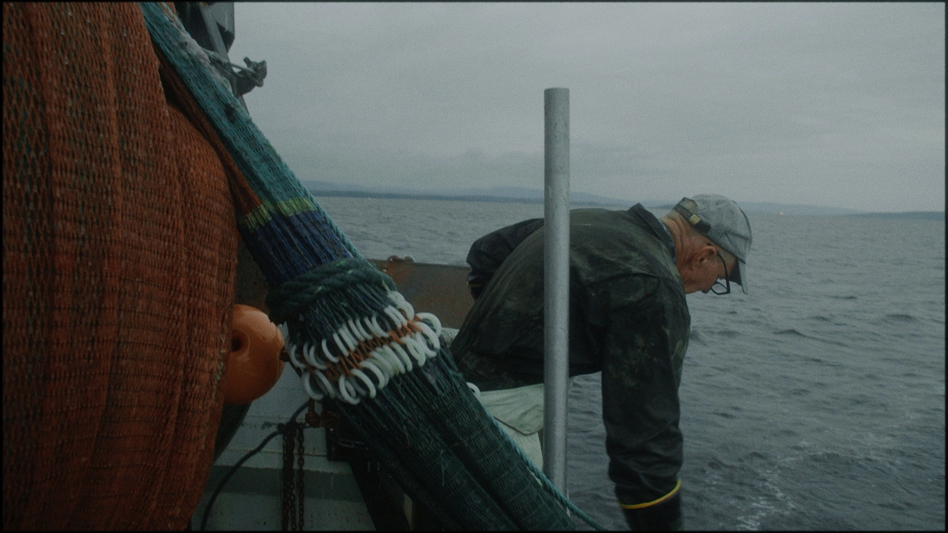 Caught in the net