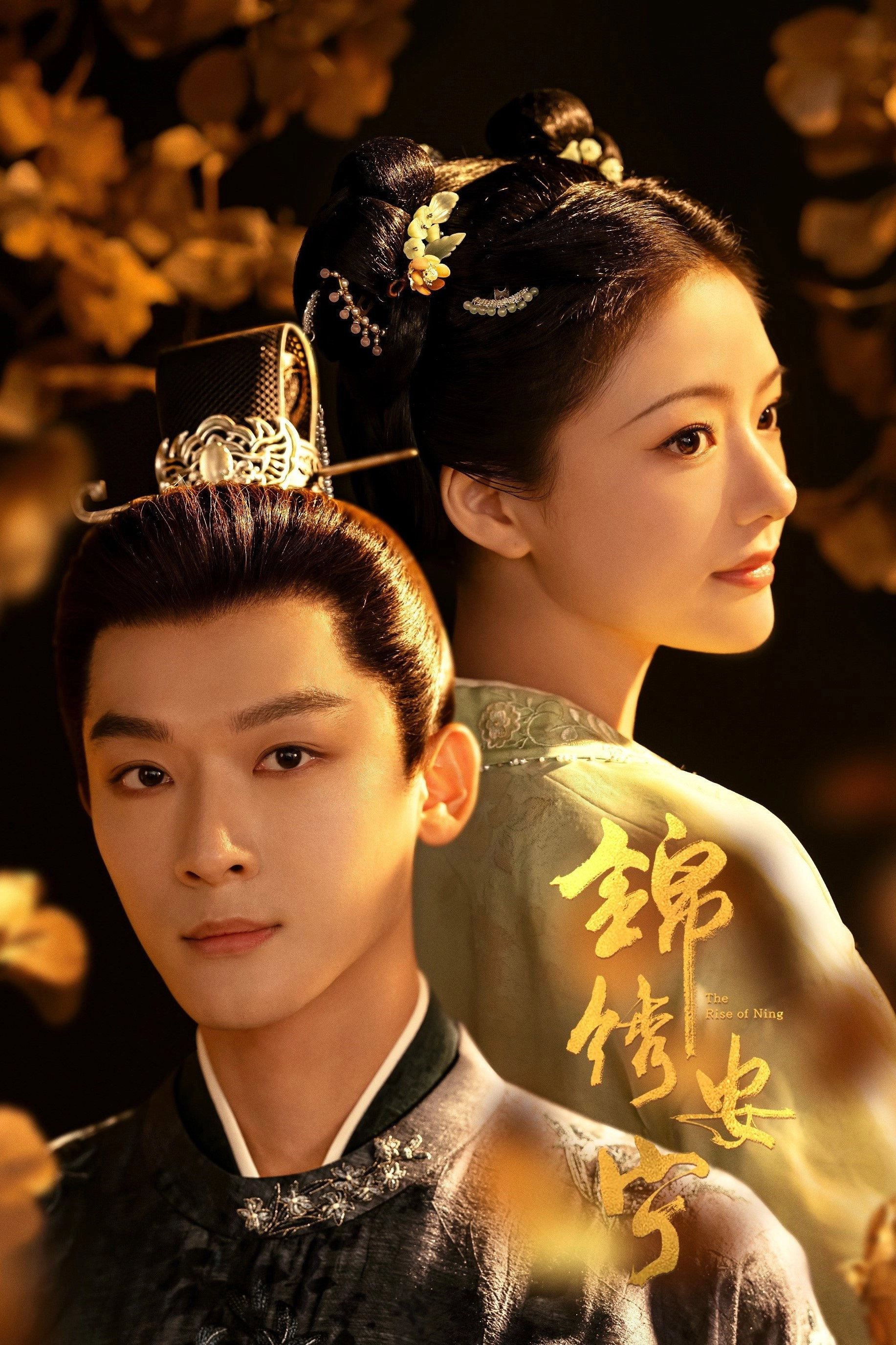 The Rise of Ning