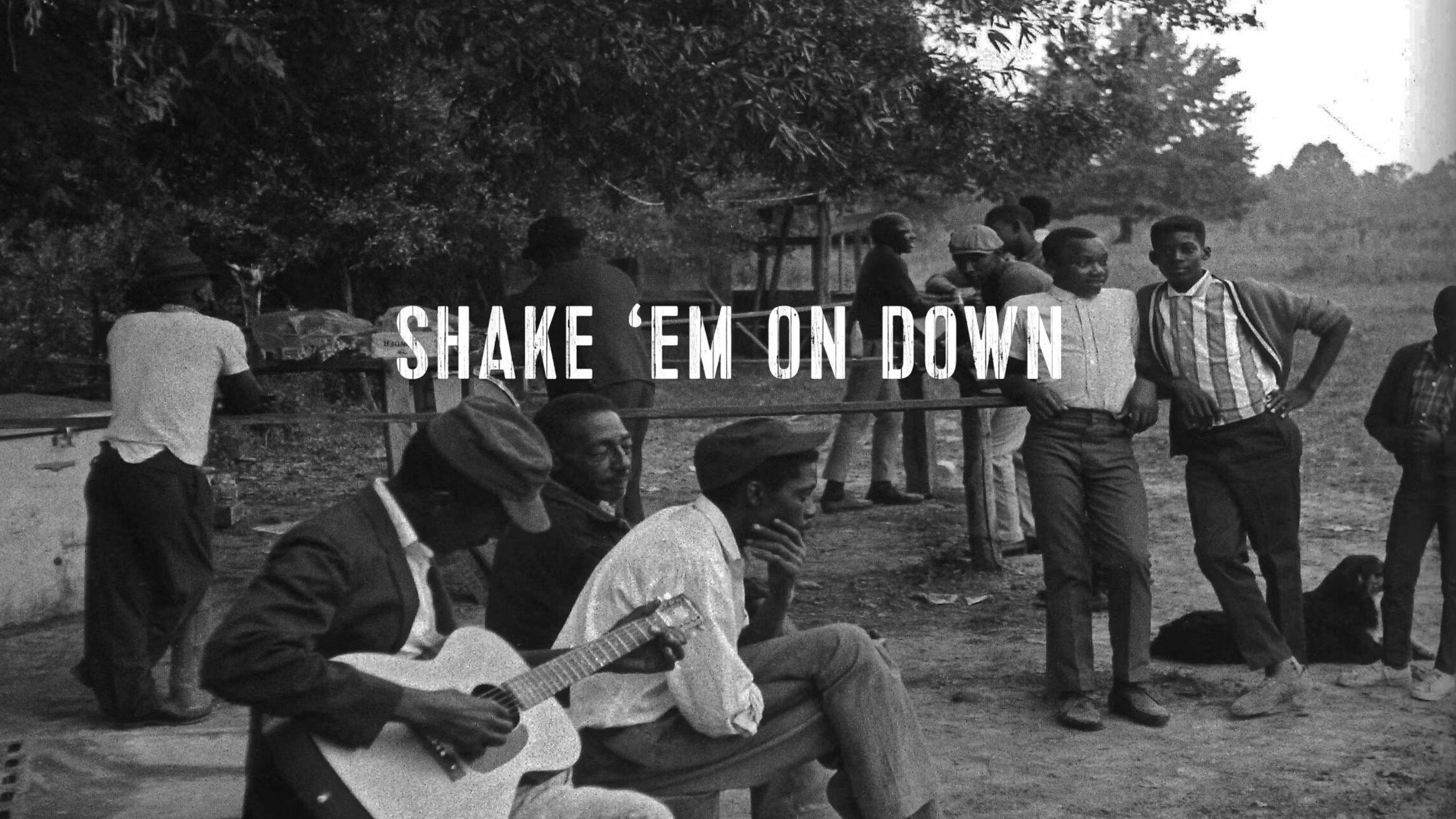 Shake 'Em On Down