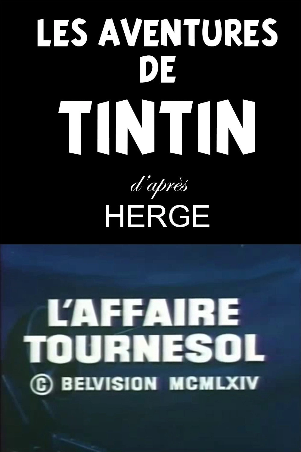 Les Aventures de Tintin, d'après Hergé