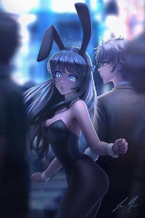 Rascal Does Not Dream of Bunny Girl Senpai