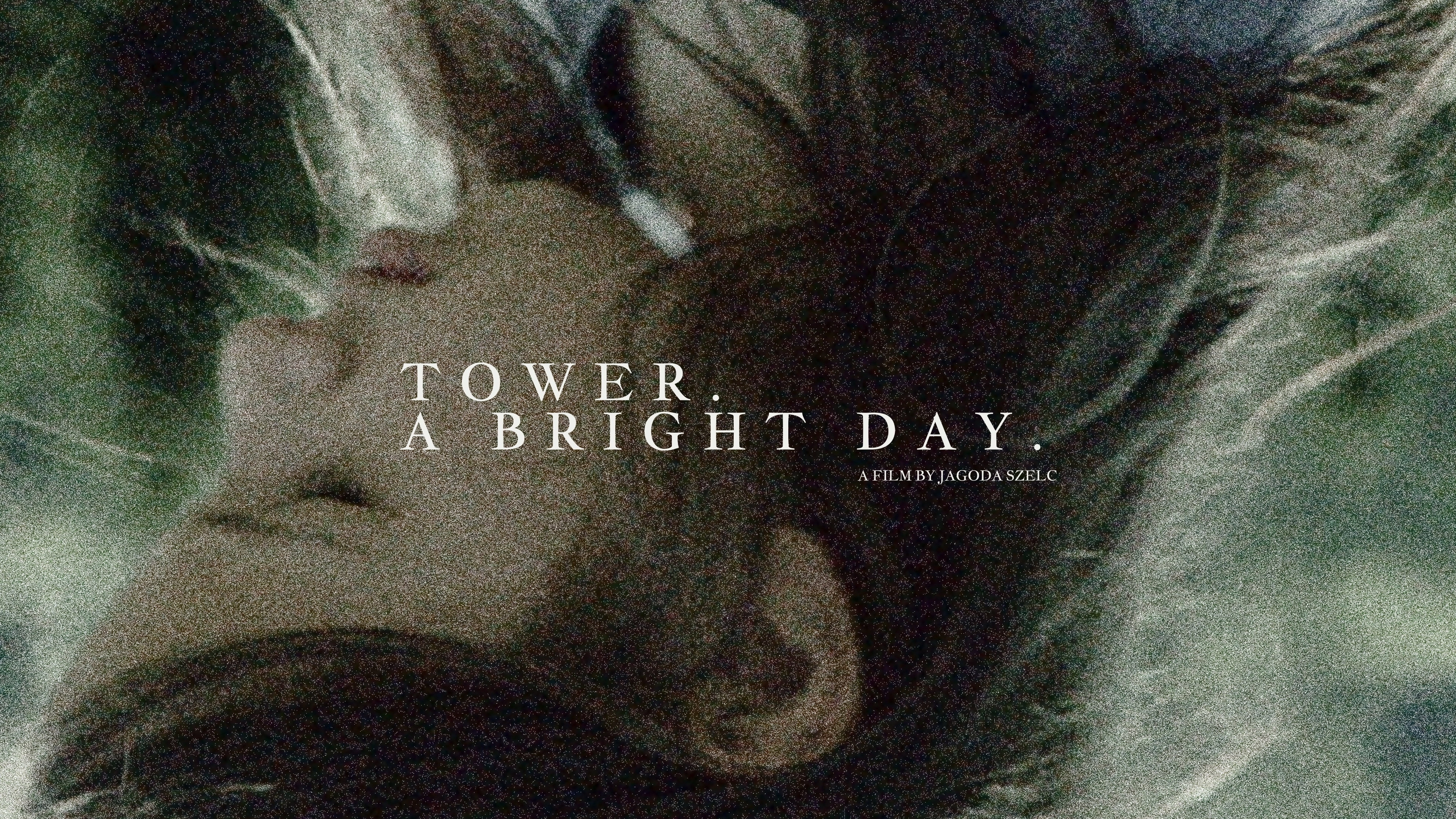 Tower. A Bright Day.