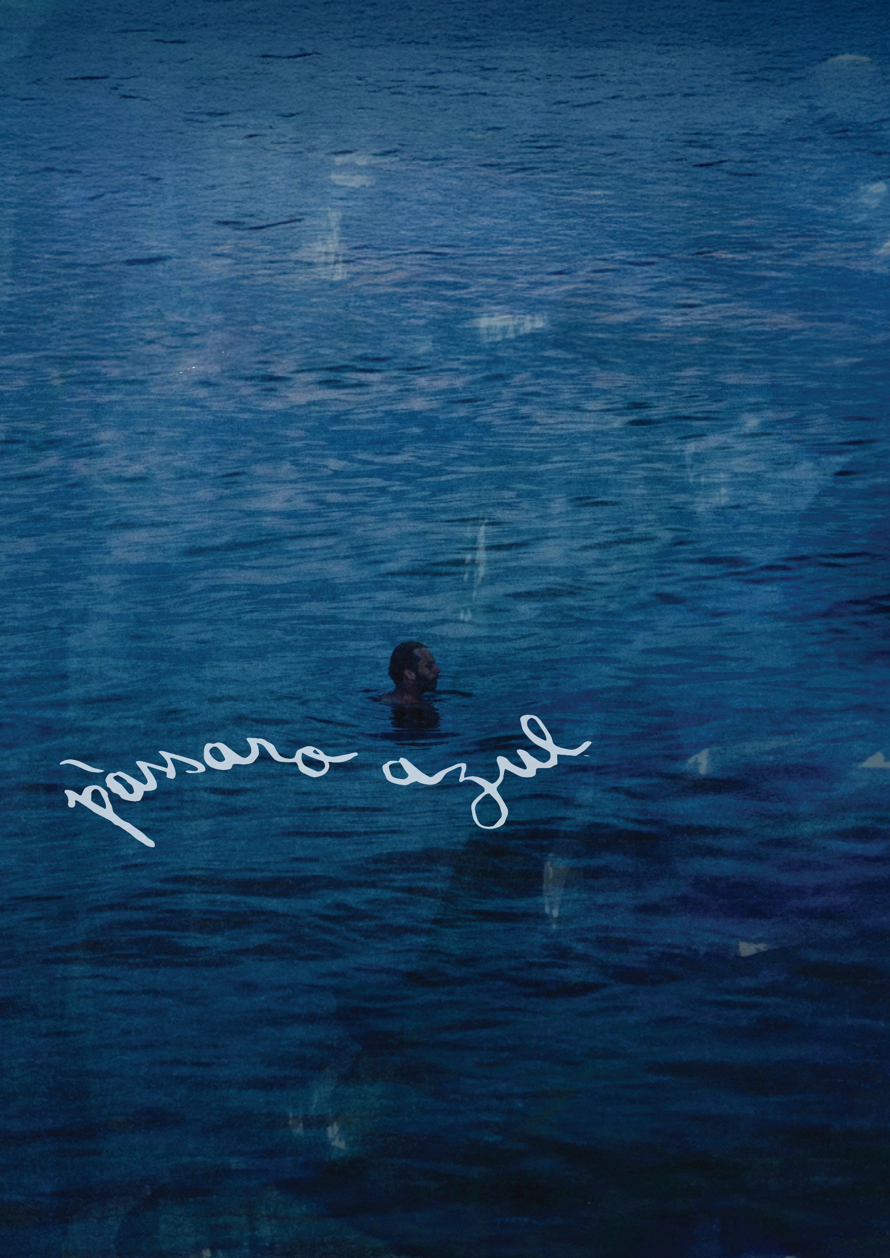 Blue Bird