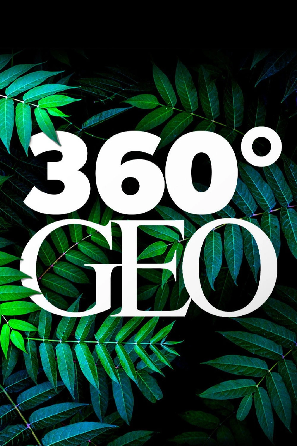 360° Reportage