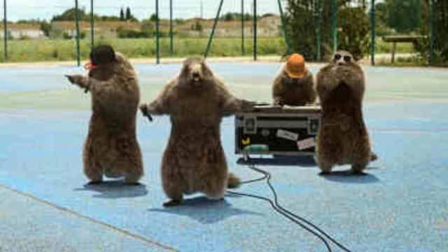 Les Marmottes