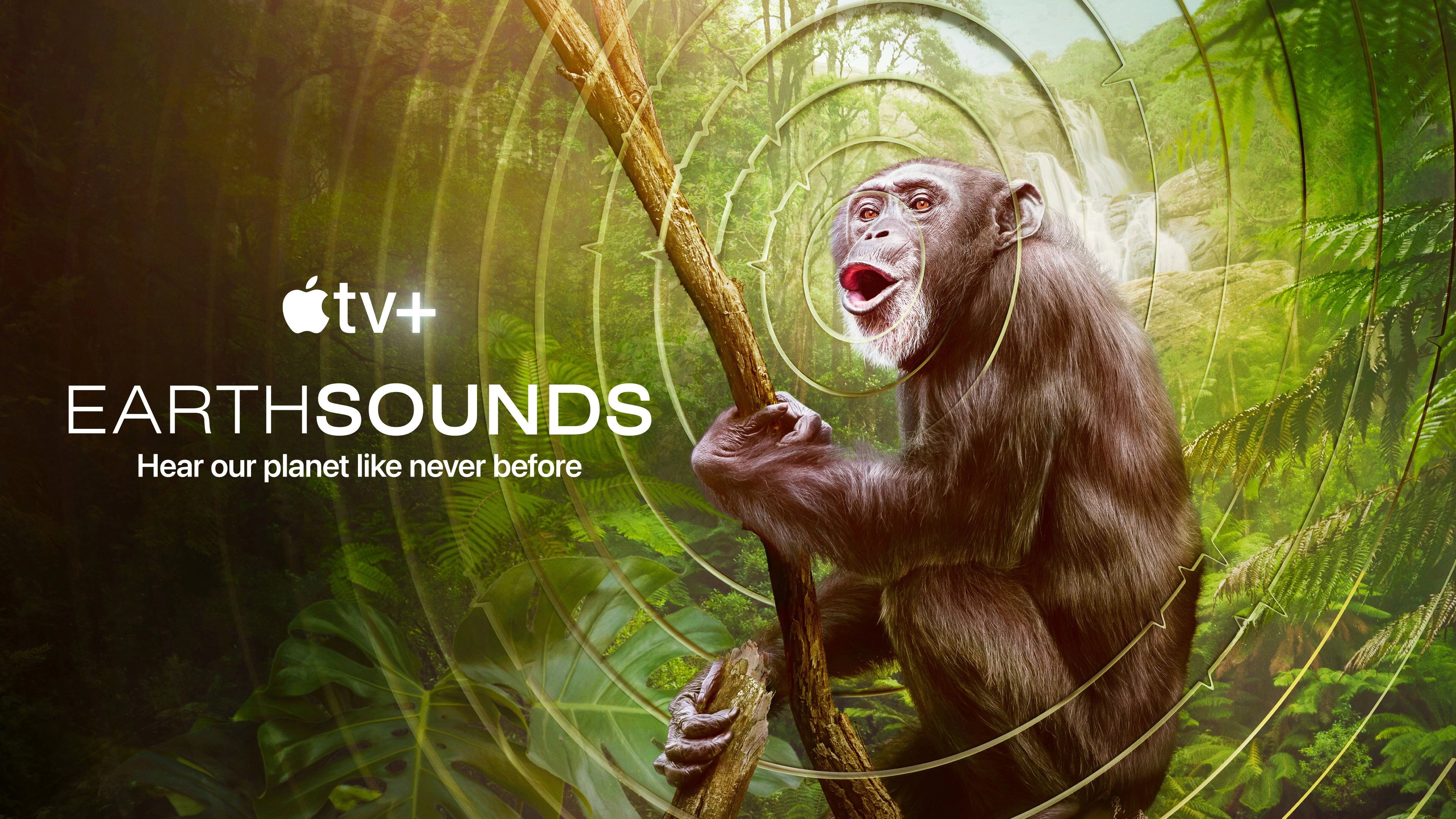 Earthsounds