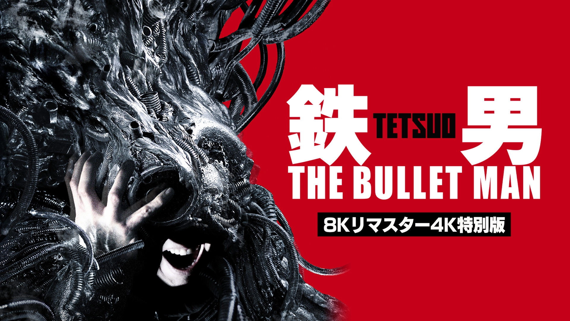 Tetsuo: The Iron Man