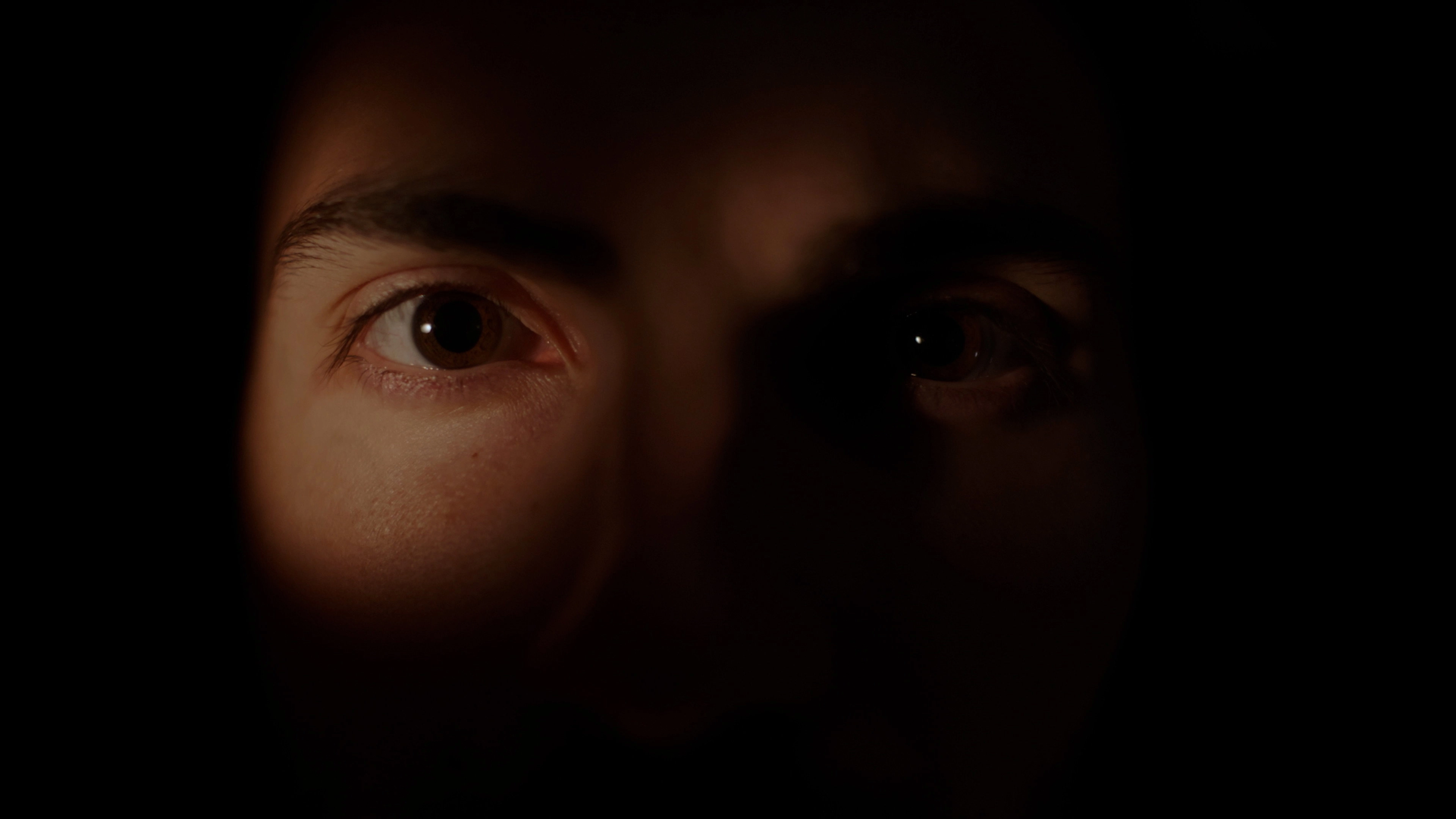 The Second Self