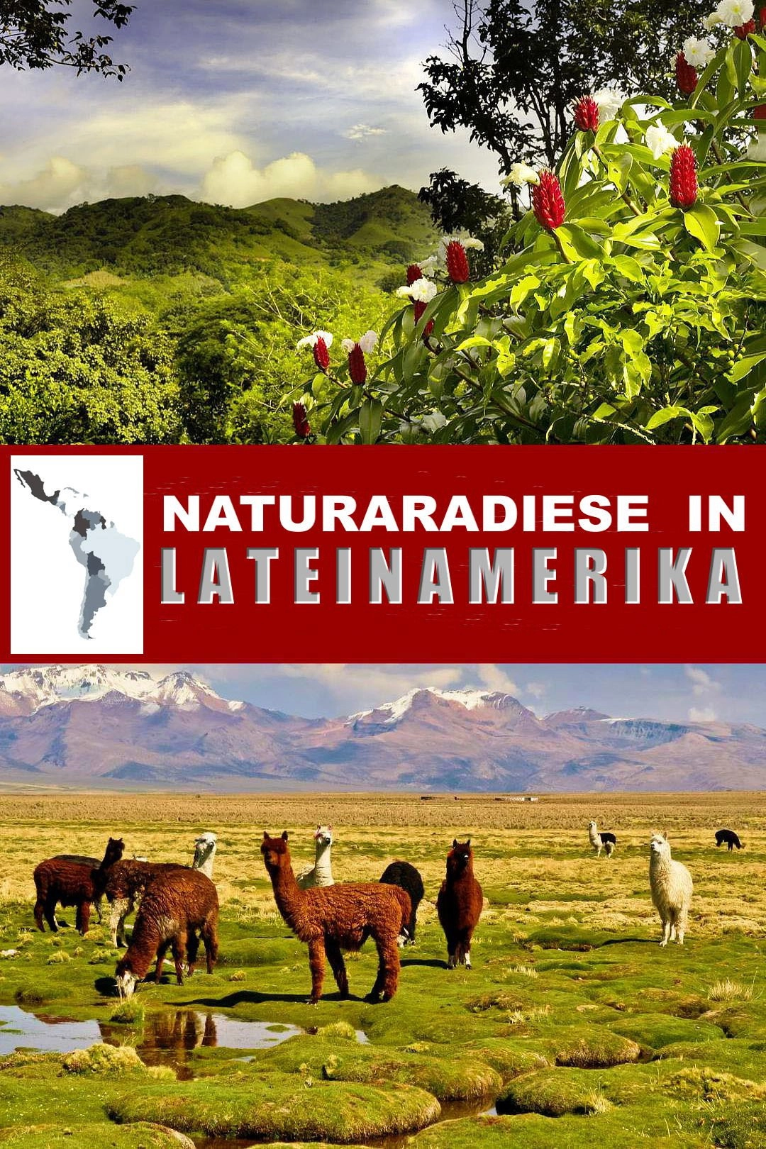 Wildest Latin America