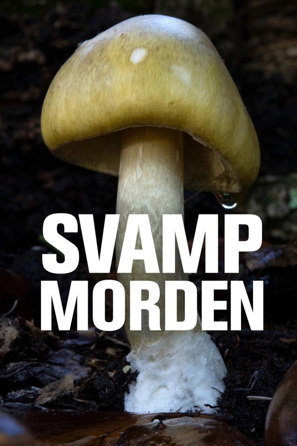 Revealed: Death Cap Murders
