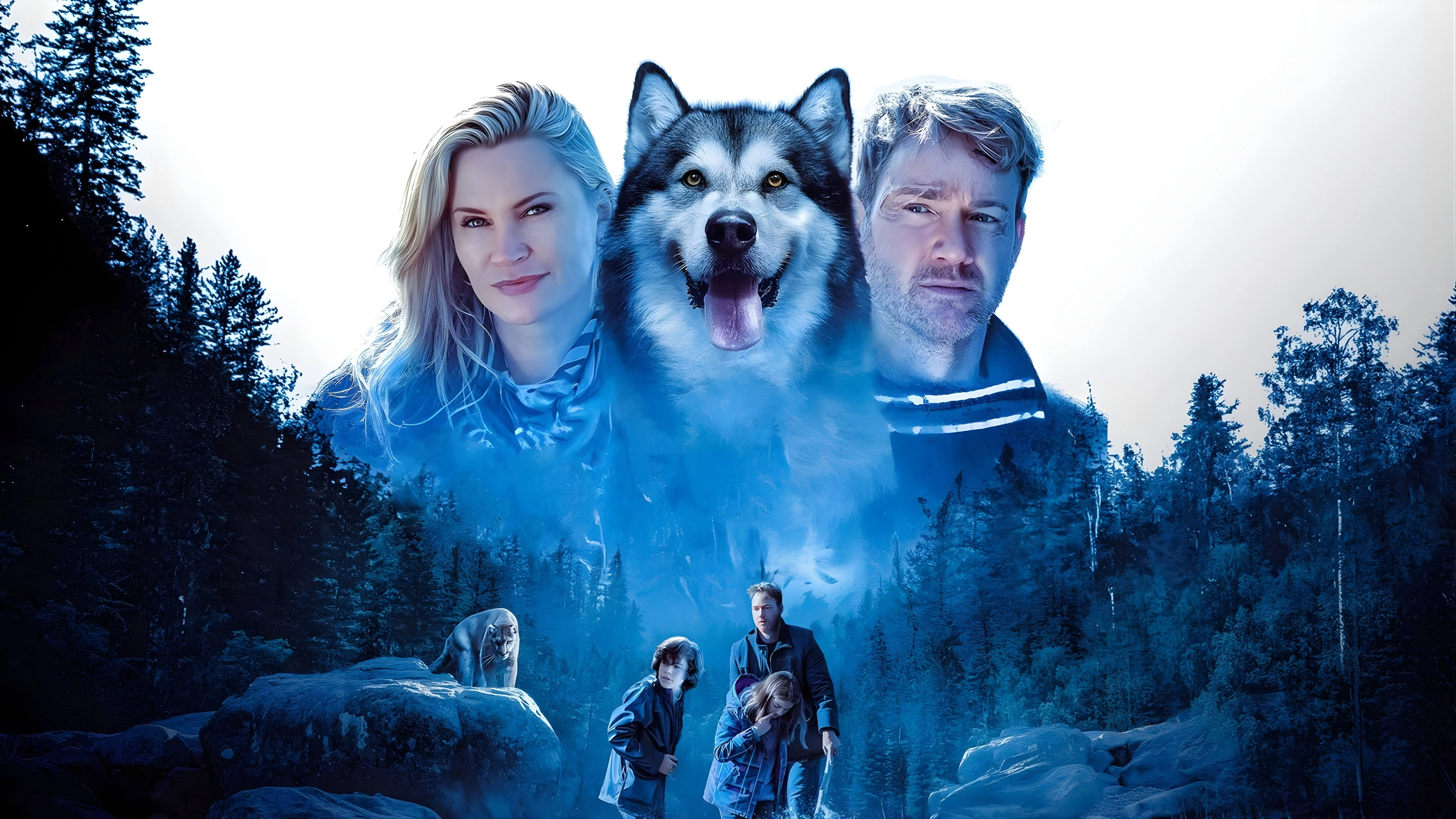 Hero Dog: The Journey Home