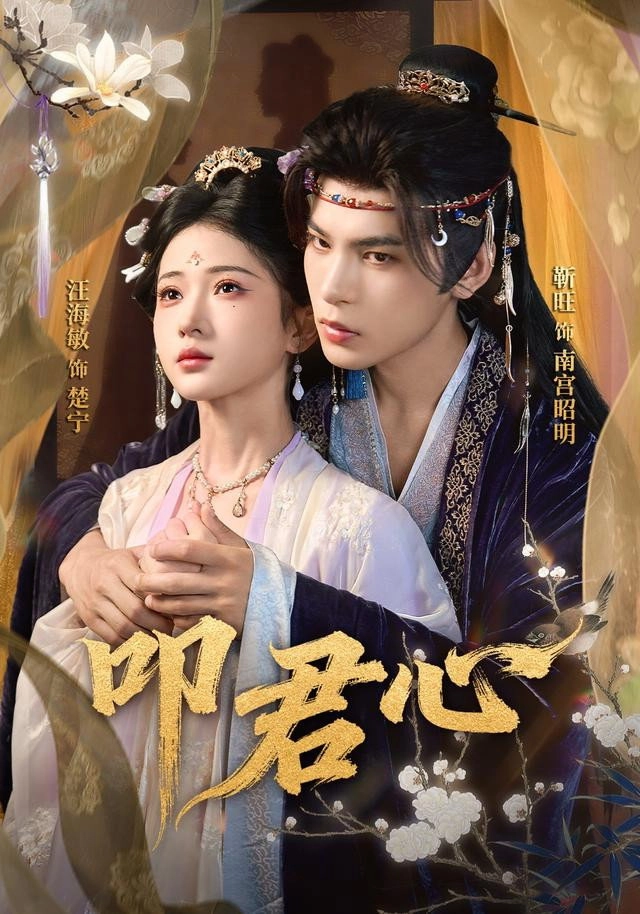 叩君心