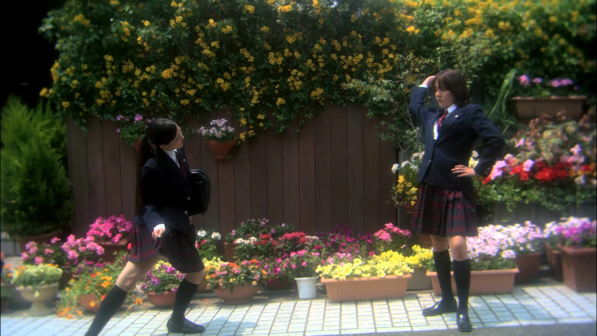 Hana & Alice