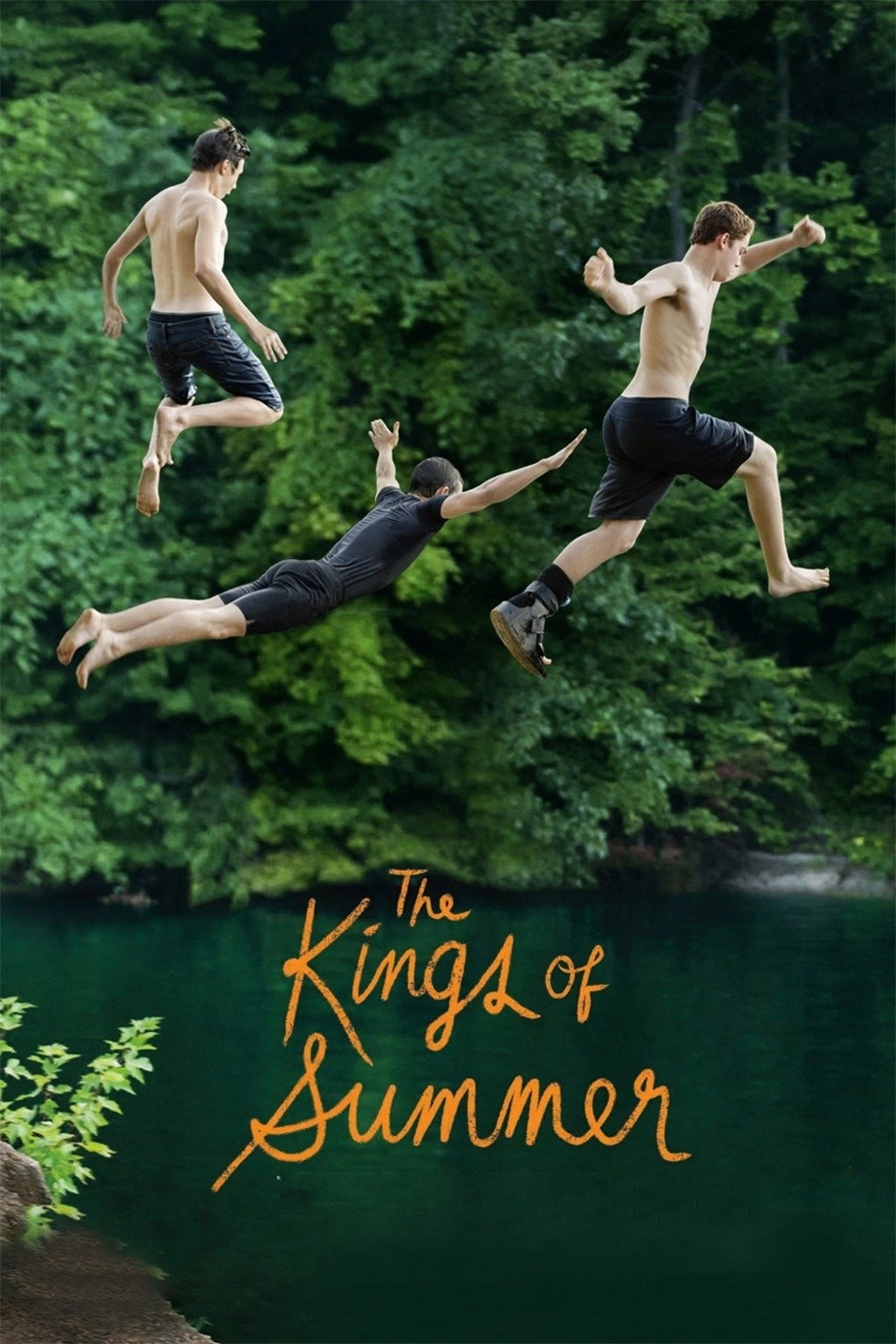 The Kings of Summer