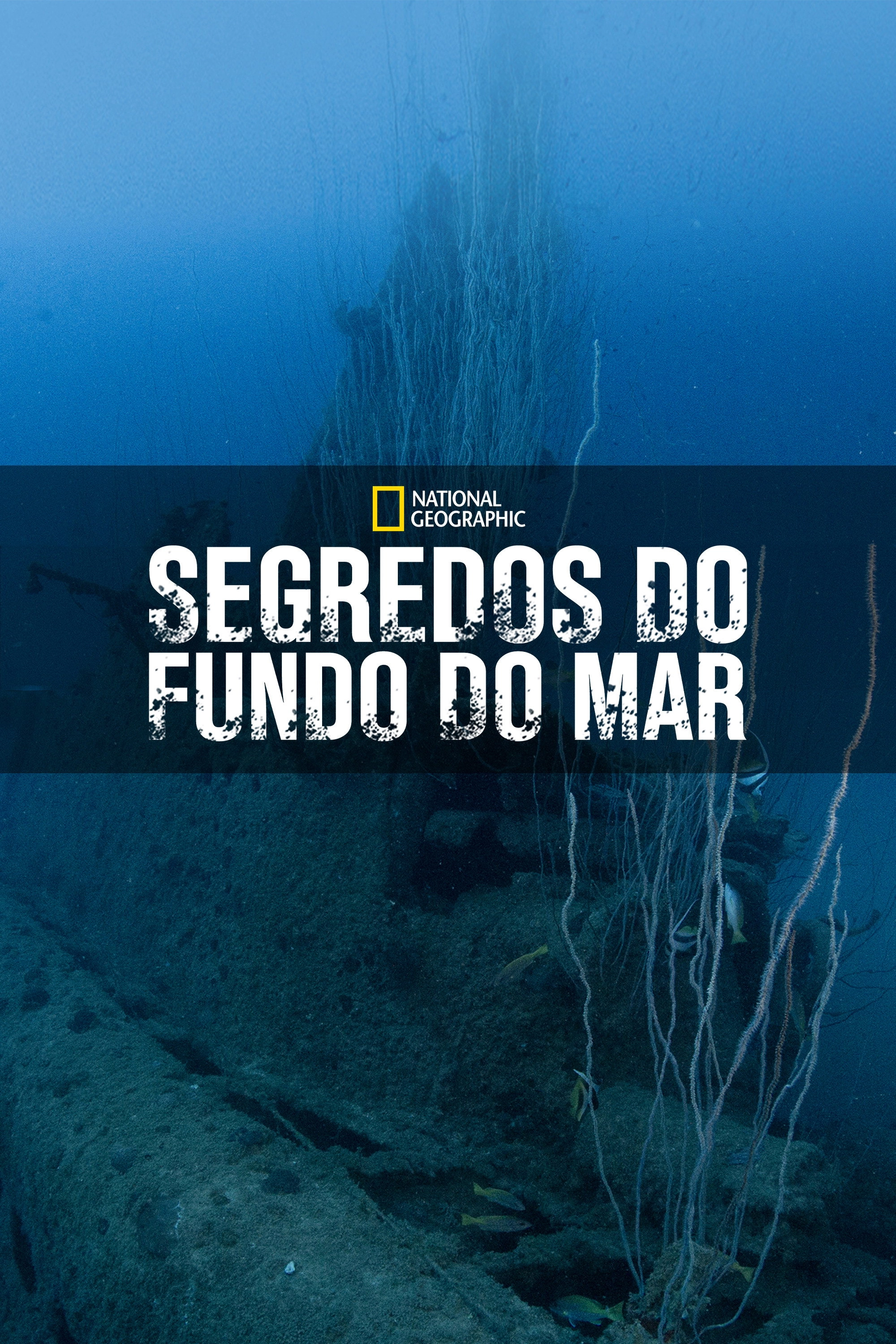 Drain the Oceans