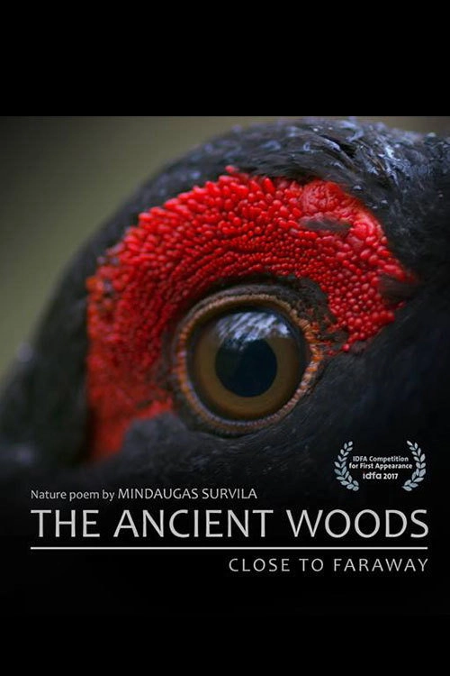 The Ancient Woods