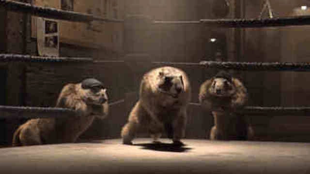 Les Marmottes