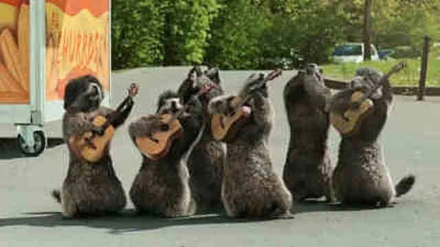 Les Marmottes