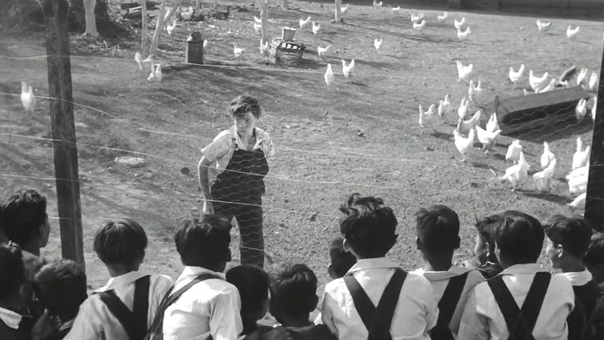 The Young and the Damned