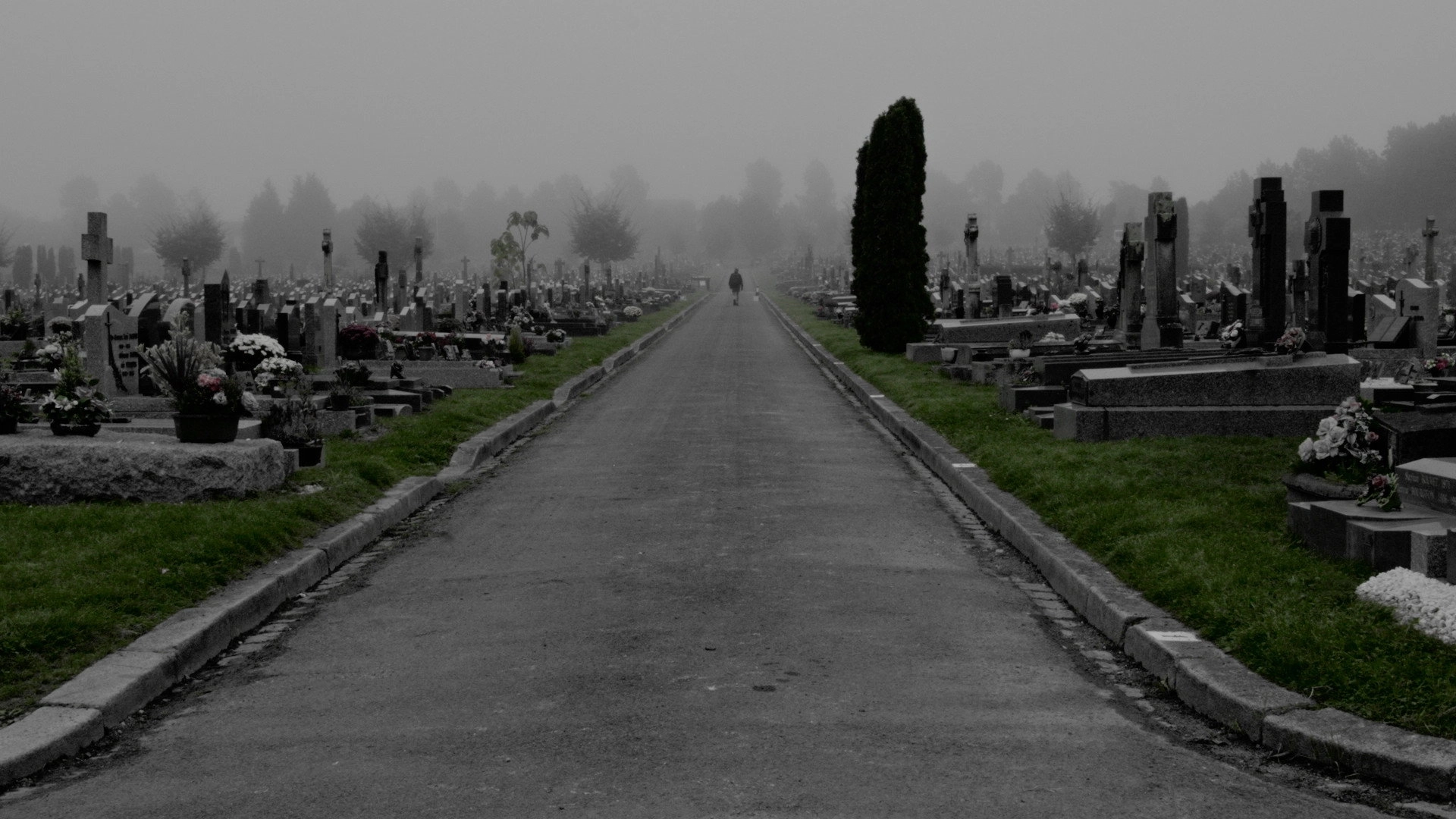 The Destination