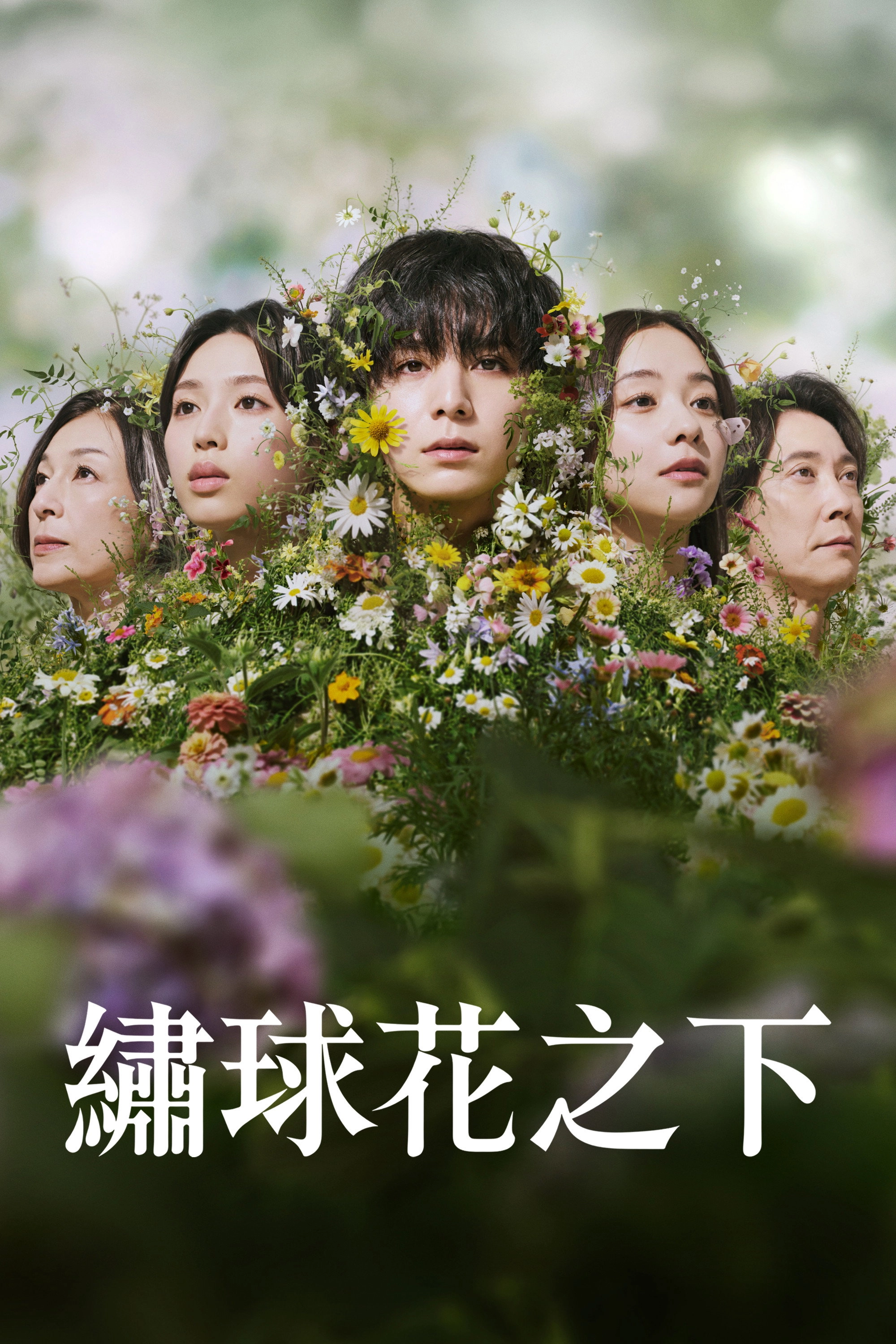 Labyrinth of Hortensia and the Minotaur