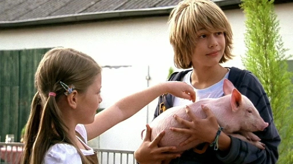 Rennschwein Rudi Rüssel