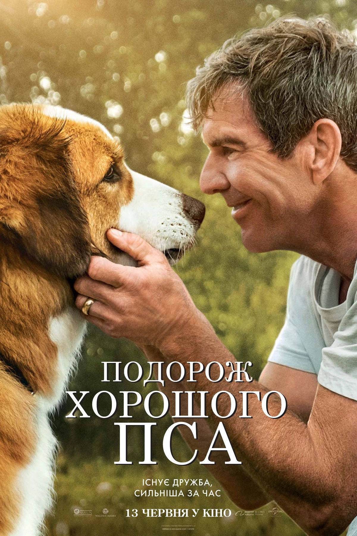 A Dog's Journey