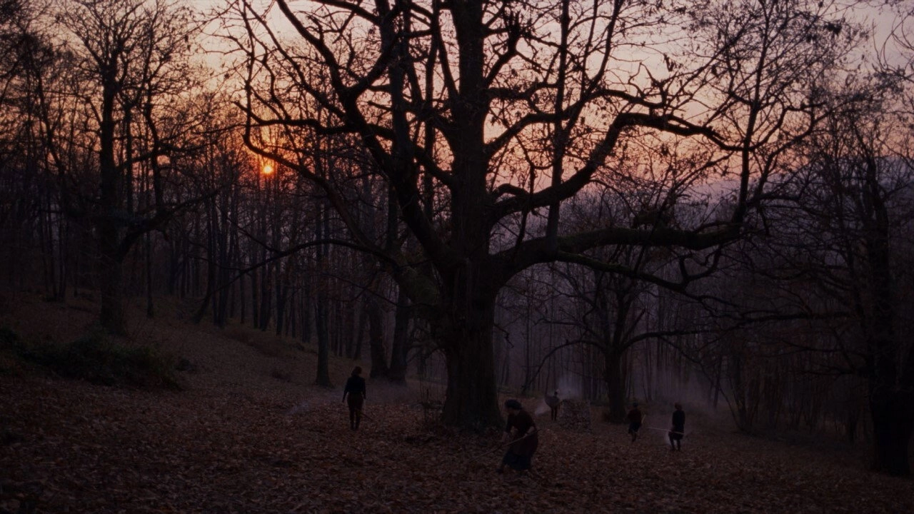 Stories from the Chestnut Woods
