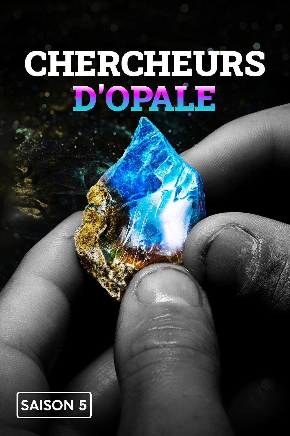 Outback Opal Hunters