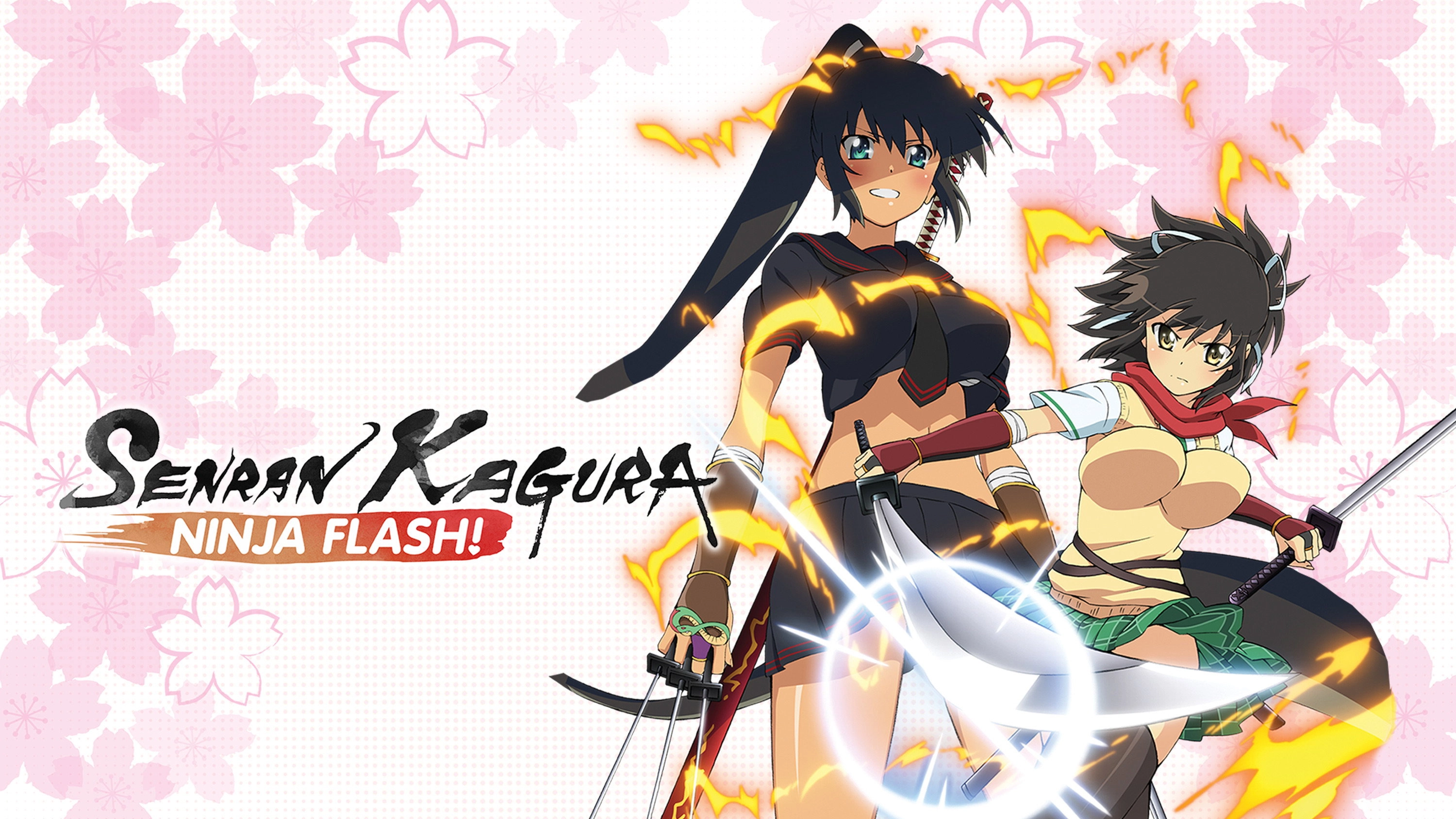 Senran Kagura: Ninja Flash