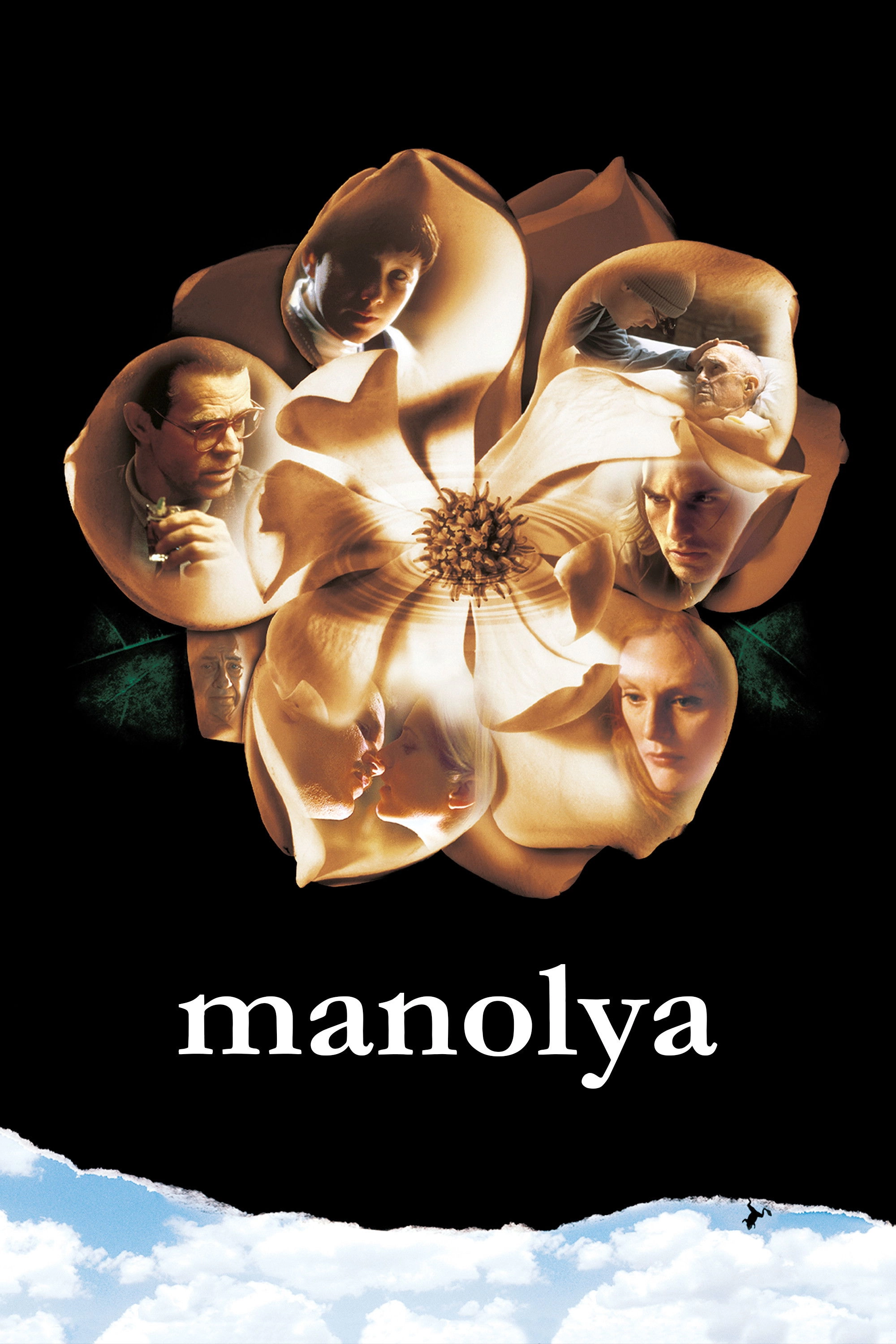 Magnolia