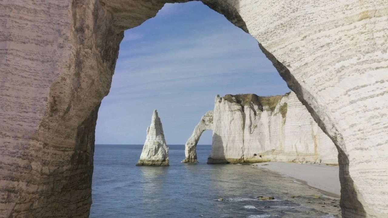 Terre, Les Forces du Vivant