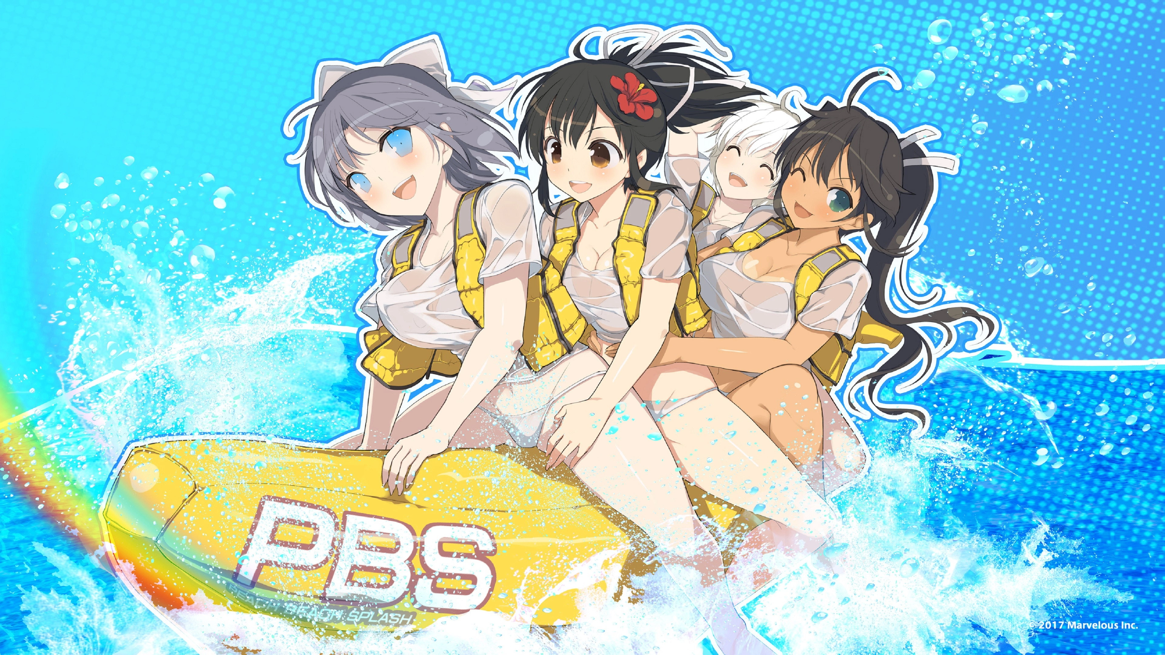 Senran Kagura: Ninja Flash