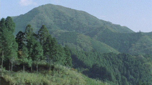 Lone Wolf and Cub