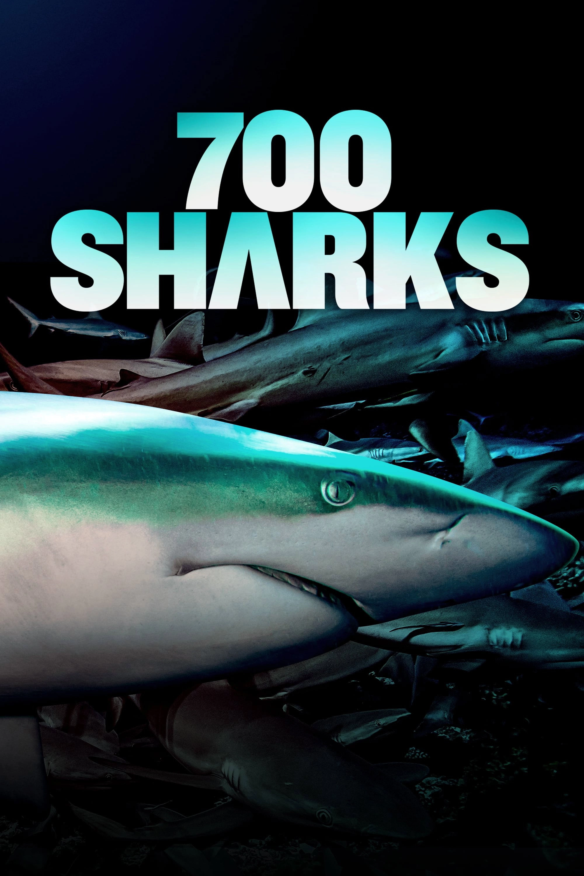 700 Sharks